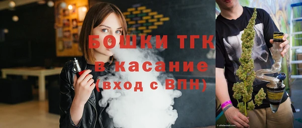 PSILOCYBIN Инсар