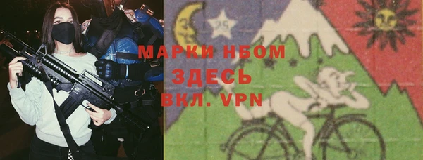 шишки Инта