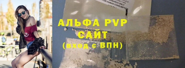 PSILOCYBIN Инсар