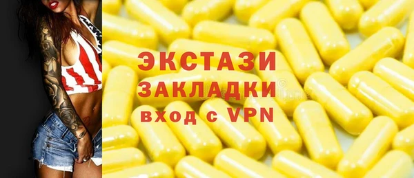 шишки Инта