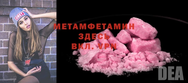 шишки Инта