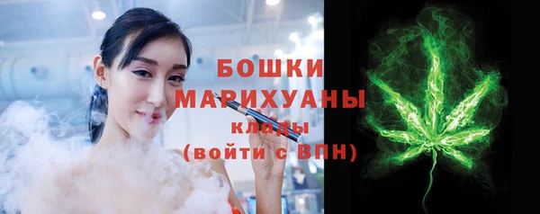 шишки Инта