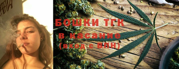 PSILOCYBIN Инсар