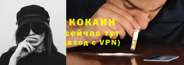 шишки Инта