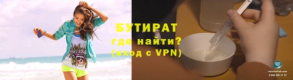 шишки Инта