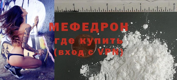 шишки Инта