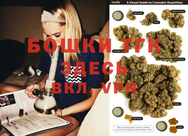 шишки Инта