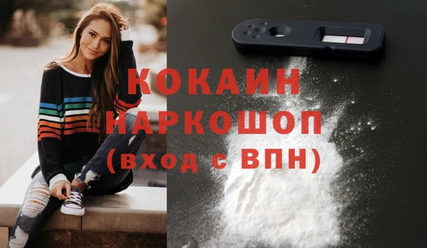 шишки Инта