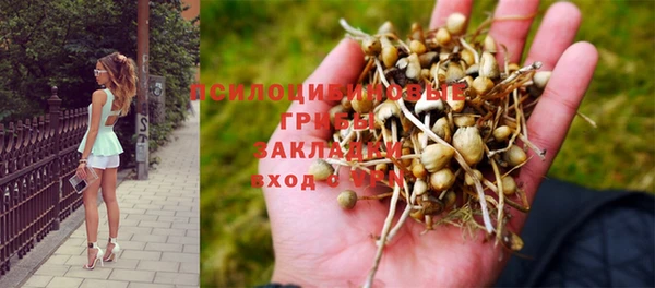 шишки Инта