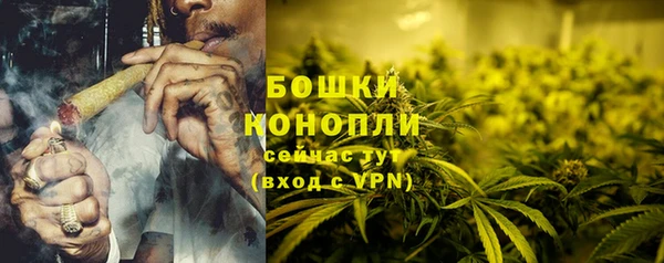 PSILOCYBIN Инсар