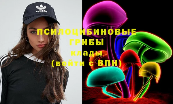 PSILOCYBIN Инсар