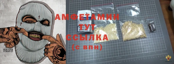 PSILOCYBIN Инсар