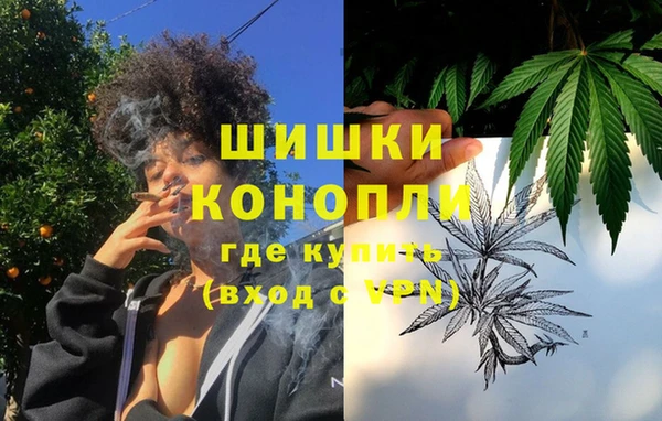 шишки Инта