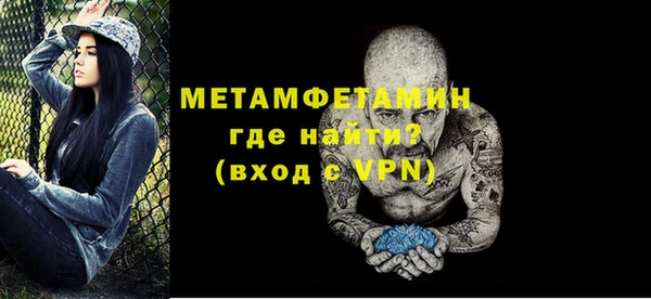 шишки Инта