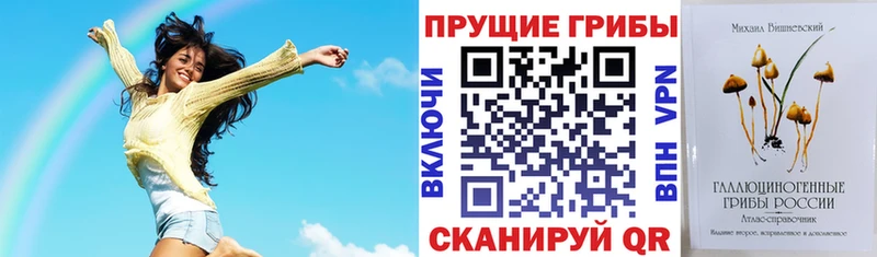 Псилоцибиновые грибы прущие грибы  Купить  Кингисепп 