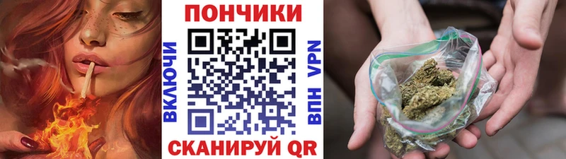 Бошки Шишки Ganja Кингисепп